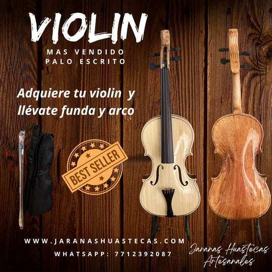 Violin de palo escrito con arco y funda