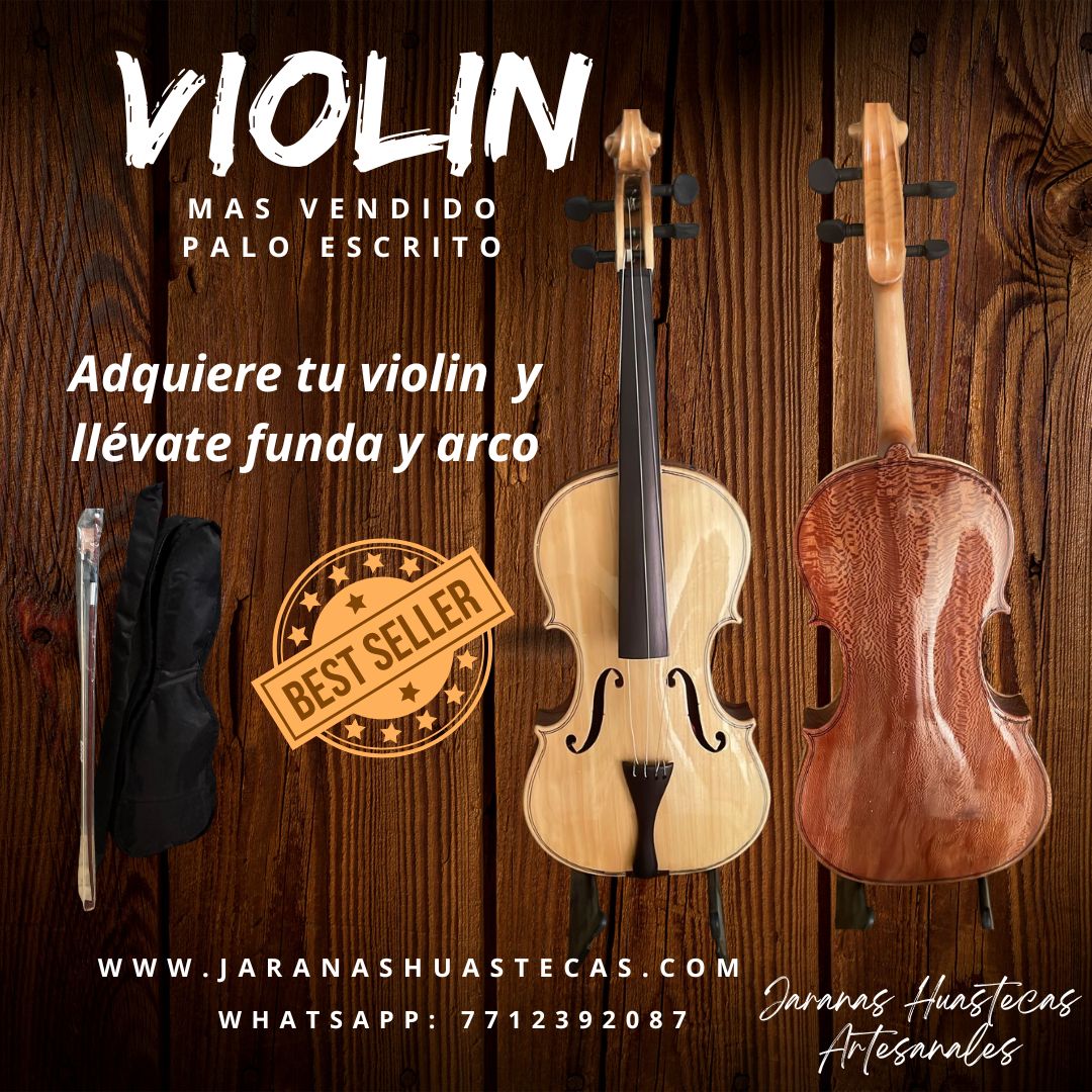 Violin de halla con arco y funda