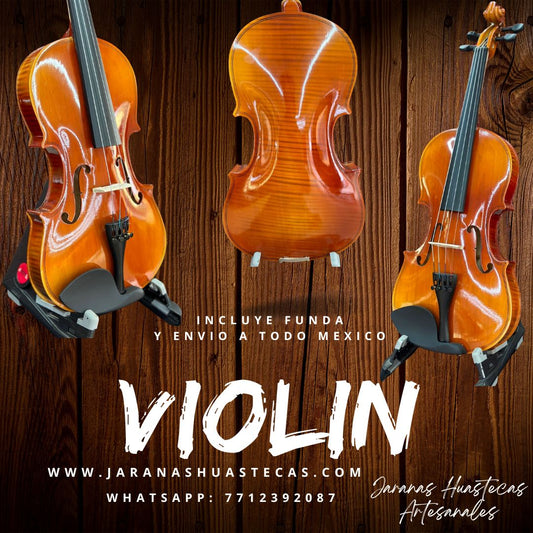 Violín con arco y estuche